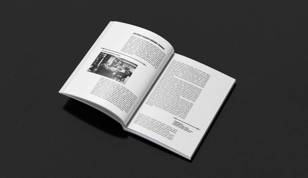 Open publication displayed against a dark background