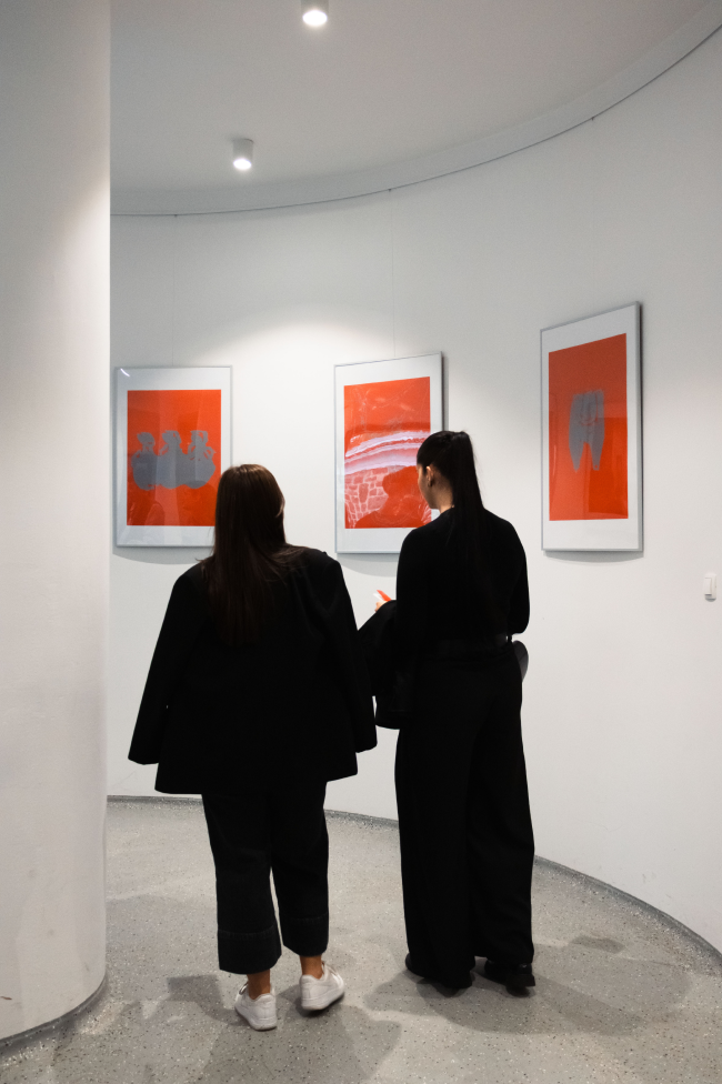 Two visitors viewing framed orange artworks in the exhibition